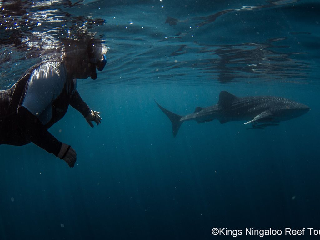 7d4322f5-3aea-49a5-b614-6ef3581ab8ac