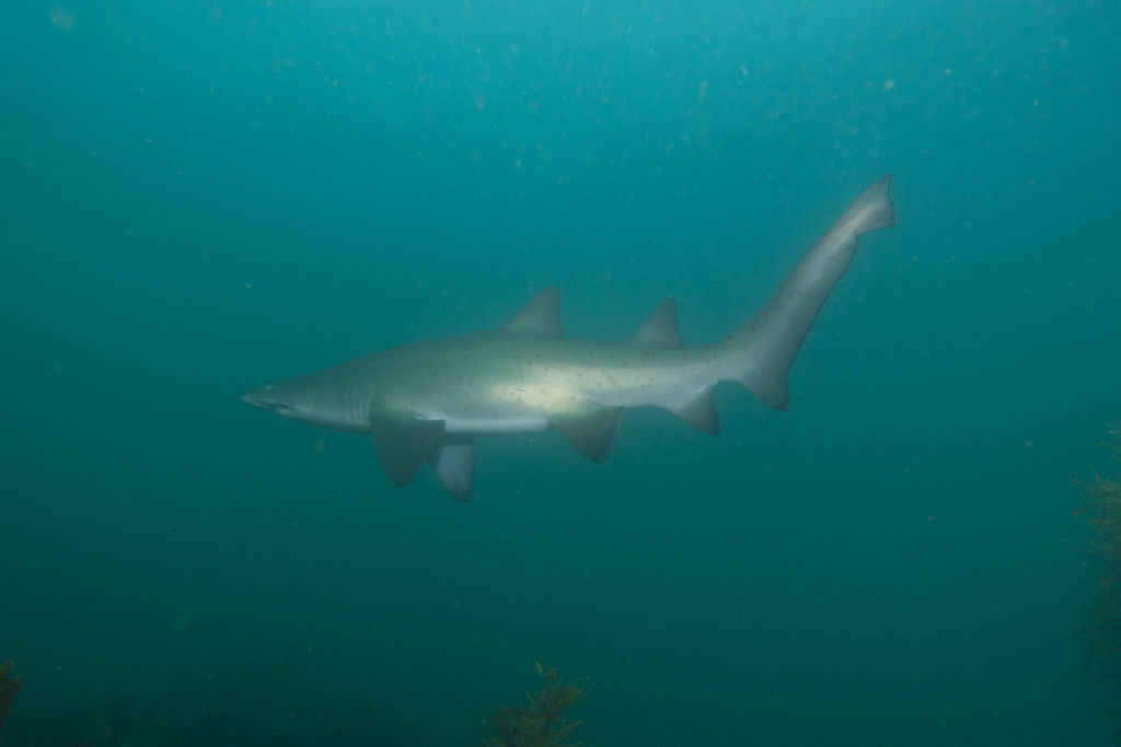 9d414684-9560-40f5-af1b-c9feeff865ae