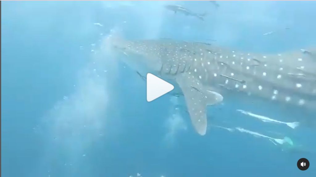 86b12e46-88bb-4bbe-922f-c1c98a1ff6a1