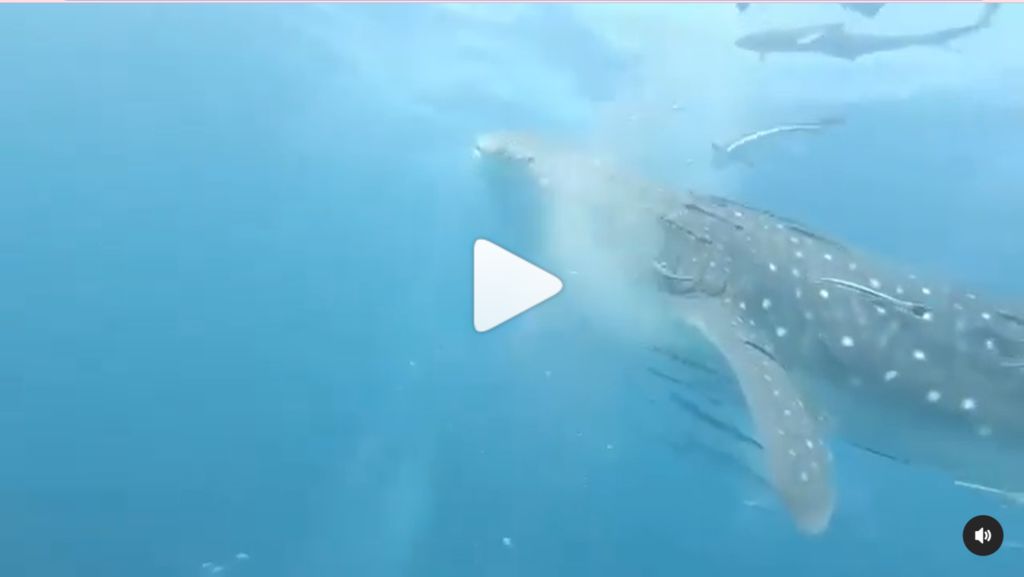 86b12e46-88bb-4bbe-922f-c1c98a1ff6a1