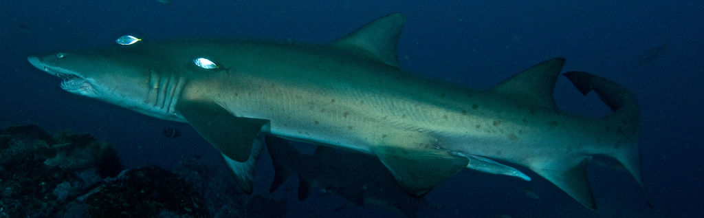 6f8bb410-8839-4fba-baf4-96bd2c2e46d1