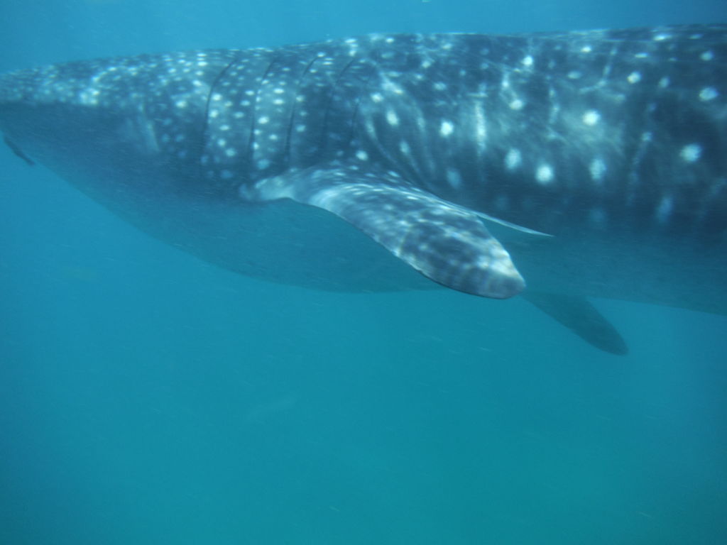 bc5be5da-f8d5-4990-b7b8-3f2422d5f09c