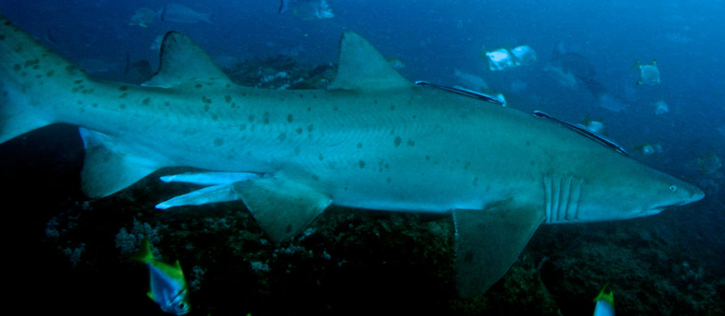 f474c920-4298-4019-94e5-6de848ec29d6