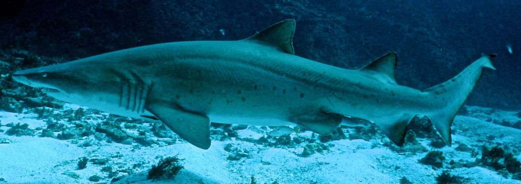 9e47a62d-6040-4413-9b8e-aec38c44ebc9