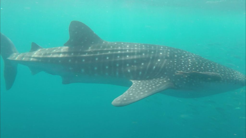 e5d7bd95-9783-4791-a71f-1e2b515e077f