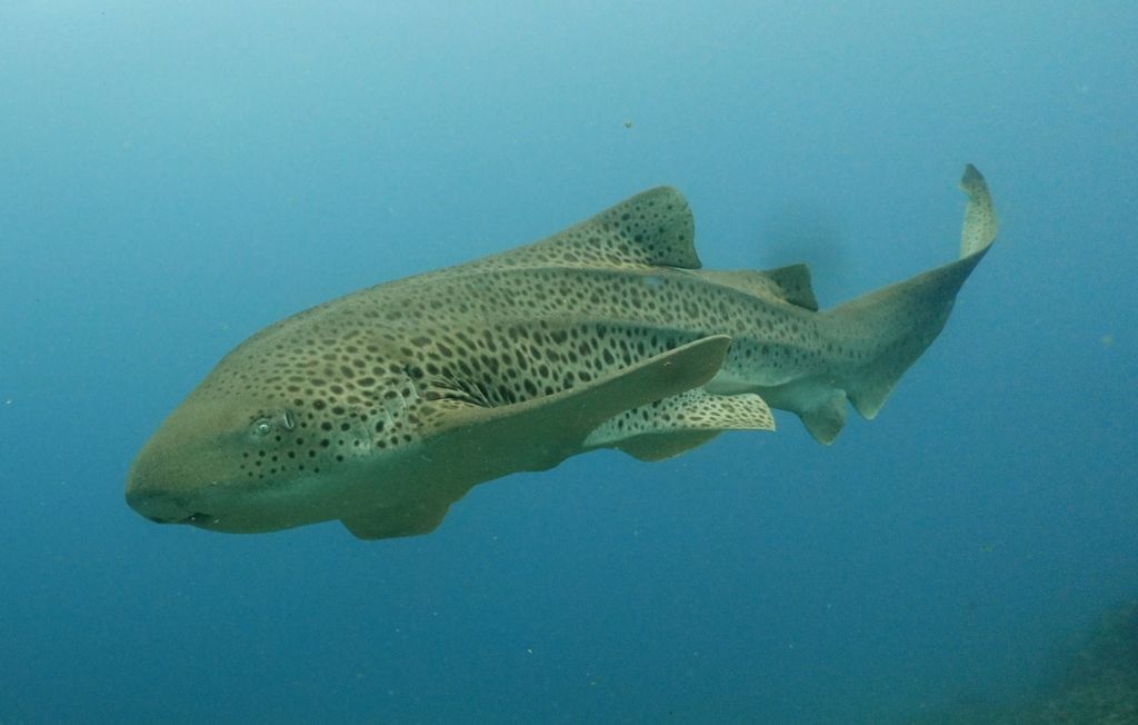 c2ca79fb-1eda-4564-9fc8-e95ecaa9609b