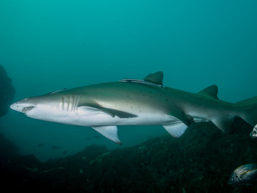 37feb32b-c639-4bca-bfad-eb15ad8b30eb