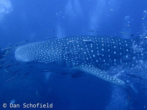 39a6fba5-2729-40f0-bff2-68769240eac7