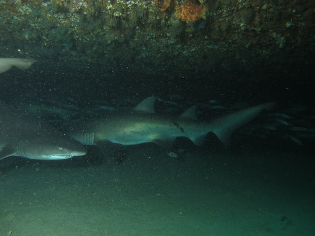 08249fad-c538-464e-ae1b-84a40bf5663f