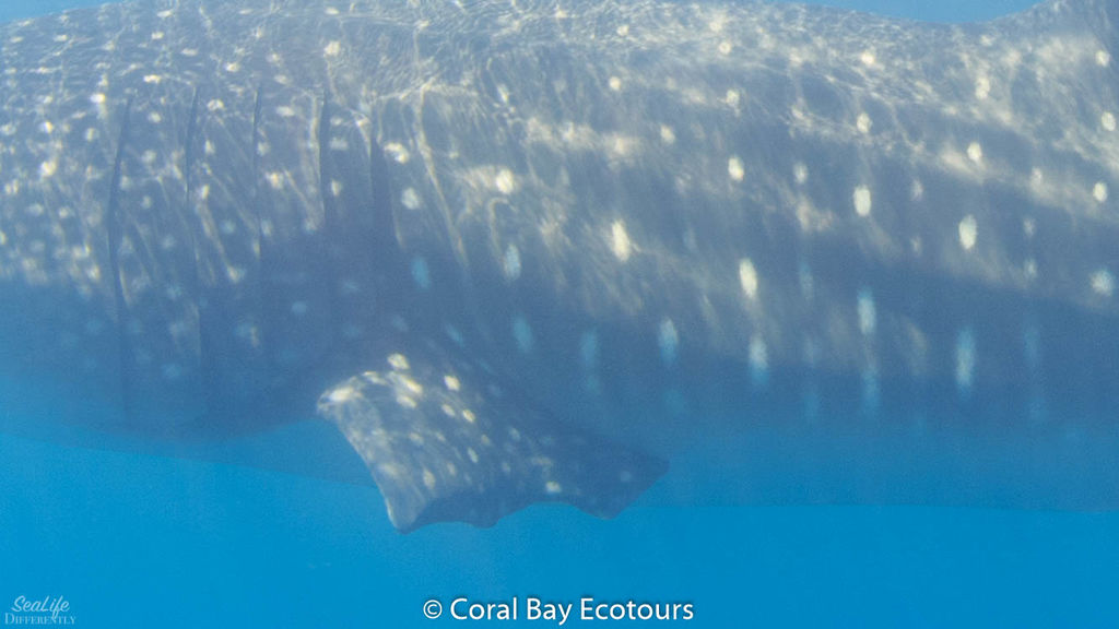 5e49100d-2fcf-4366-971c-6e5bd6120b2a