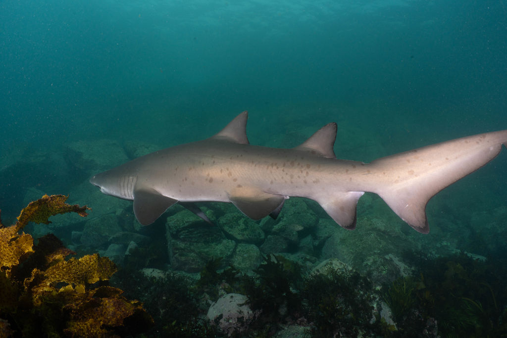 e0425aba-8571-45a3-b667-4157eb78dd32