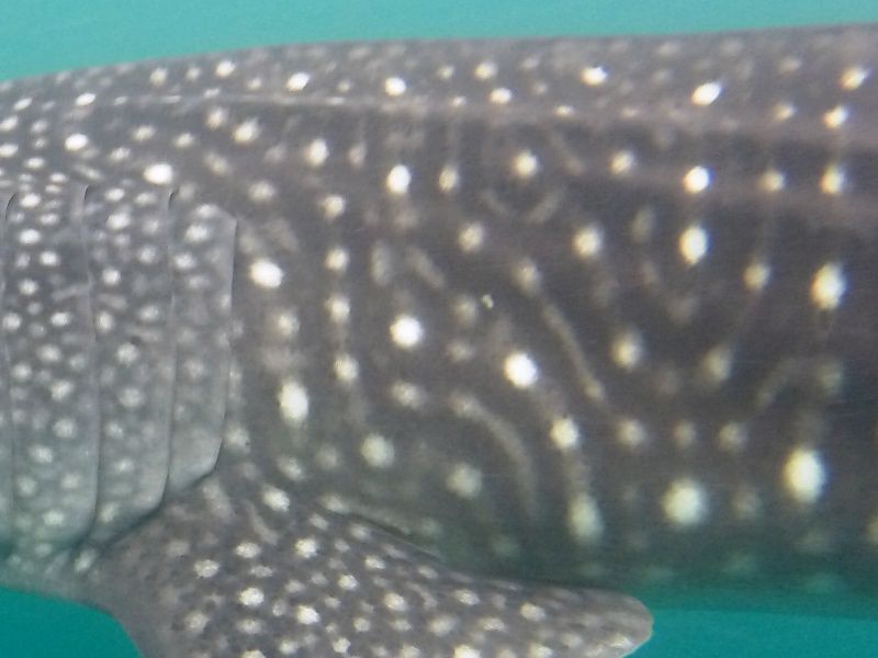 0dd983f5-a1b9-4222-929f-7b48c9355eb5