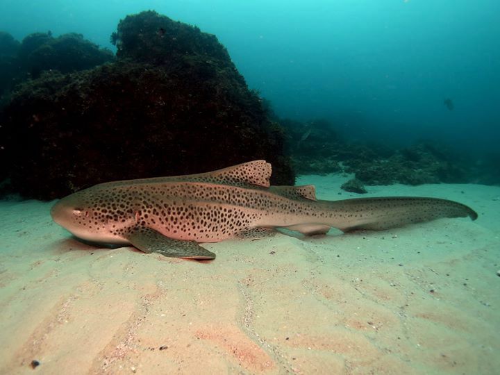 edbf7458-f1c6-424f-a2e9-d15ef91d76bd