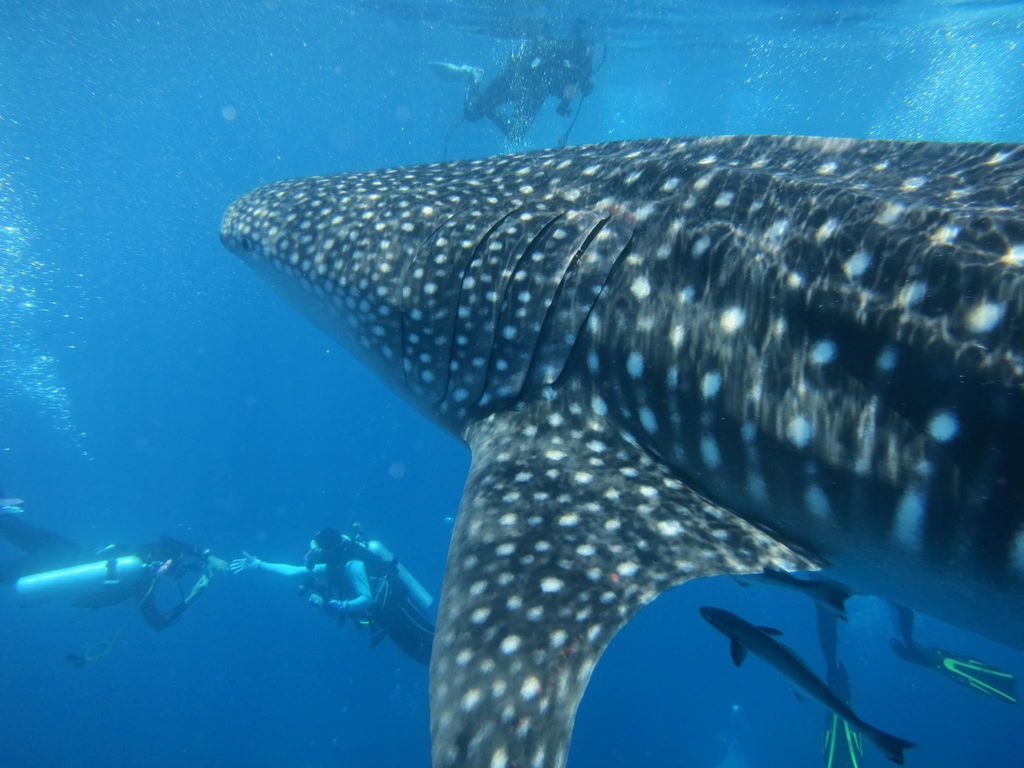 f92262bd-e870-4d01-875d-d3832b3601cc