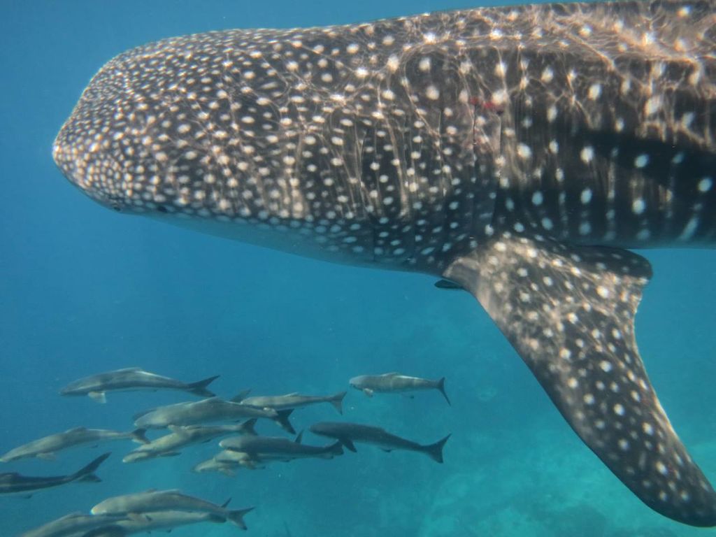 f92262bd-e870-4d01-875d-d3832b3601cc