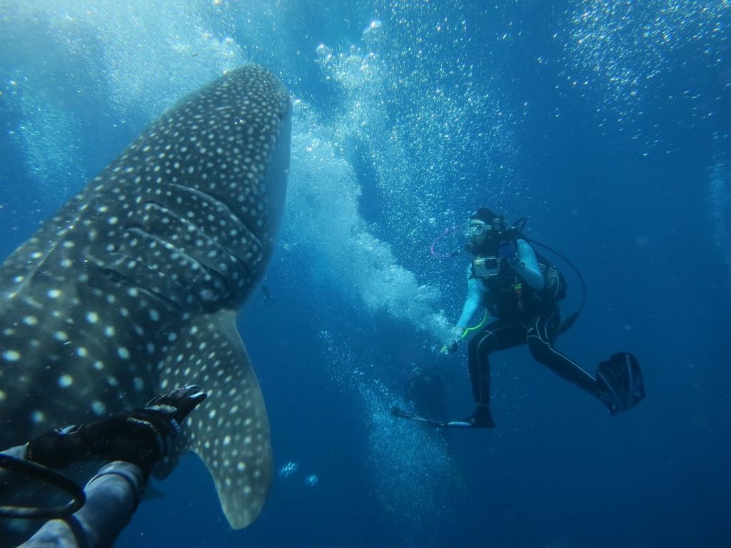 f92262bd-e870-4d01-875d-d3832b3601cc