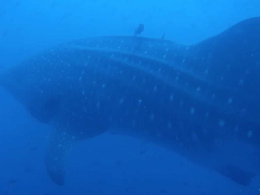 49325feb-6f9d-46ca-bfea-8c80252f4e8d