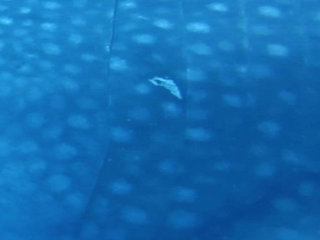 49325feb-6f9d-46ca-bfea-8c80252f4e8d