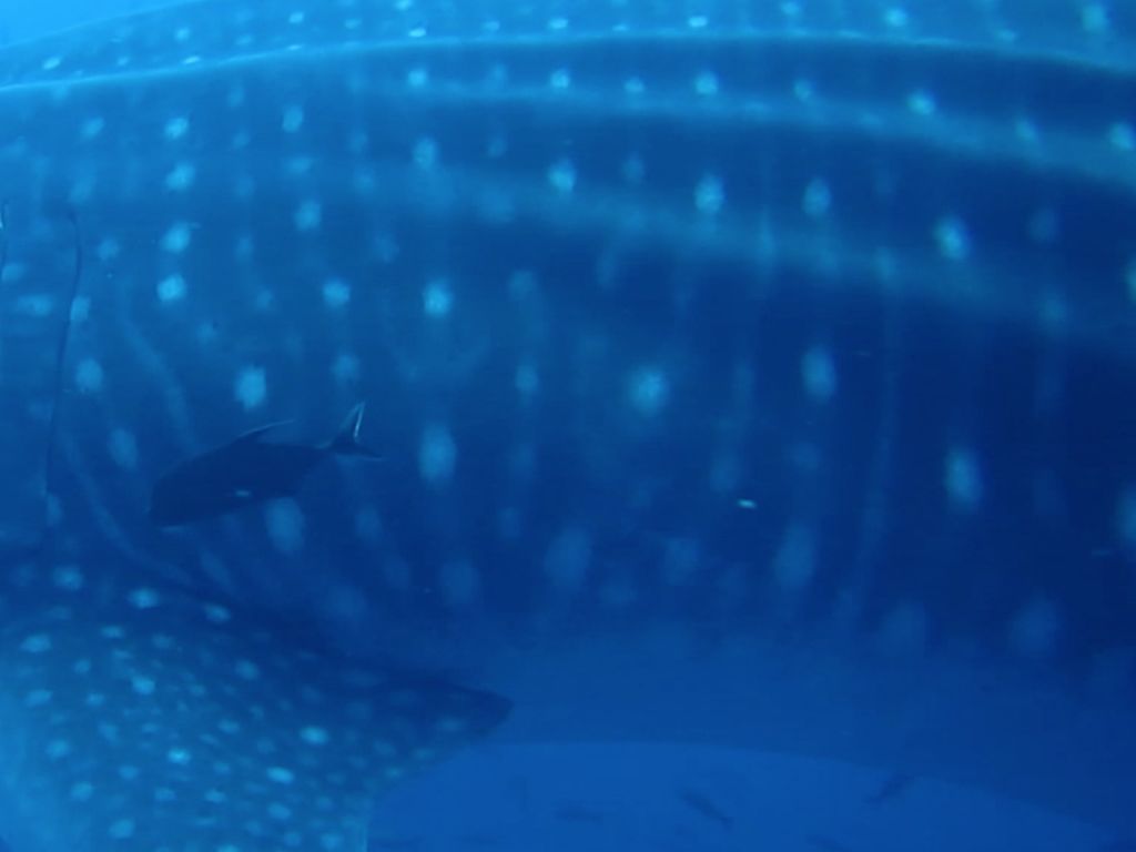 49325feb-6f9d-46ca-bfea-8c80252f4e8d