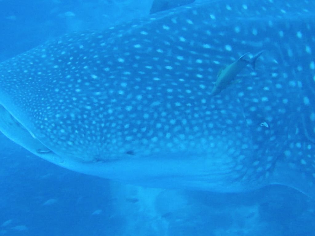 49325feb-6f9d-46ca-bfea-8c80252f4e8d