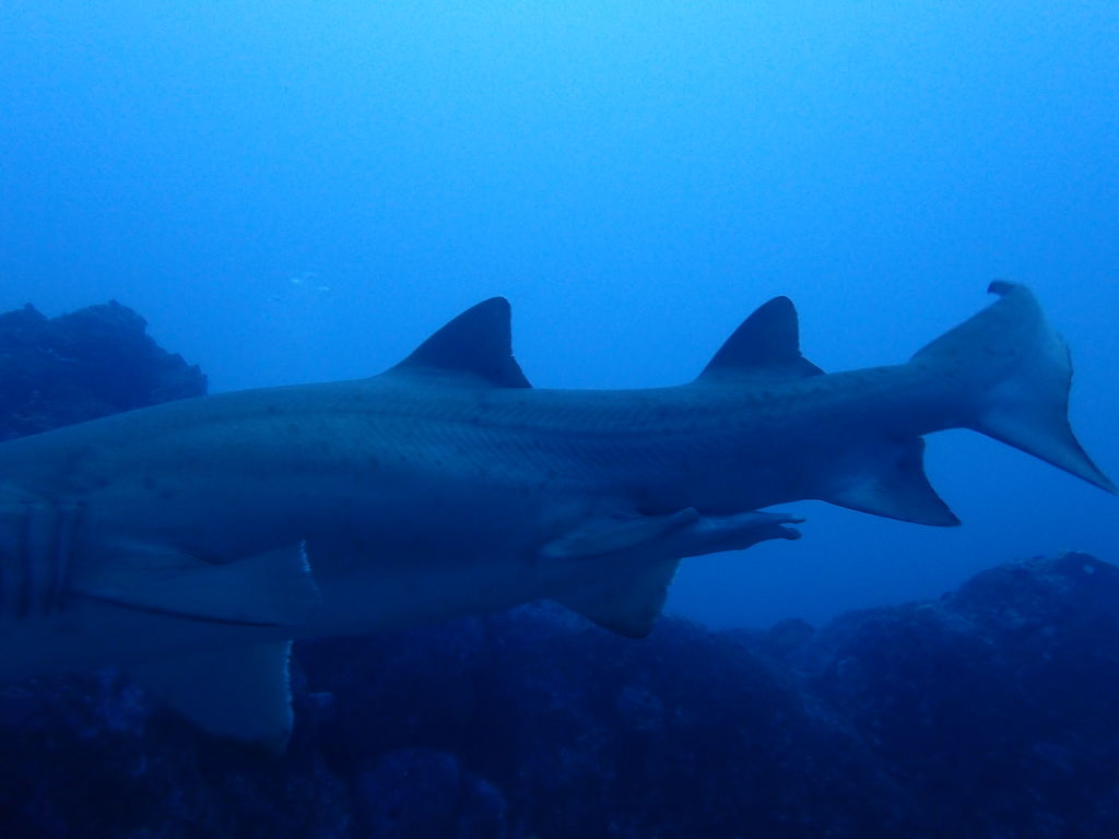 b7ab8b6d-e046-4fdd-b446-d06dbb0d66a0