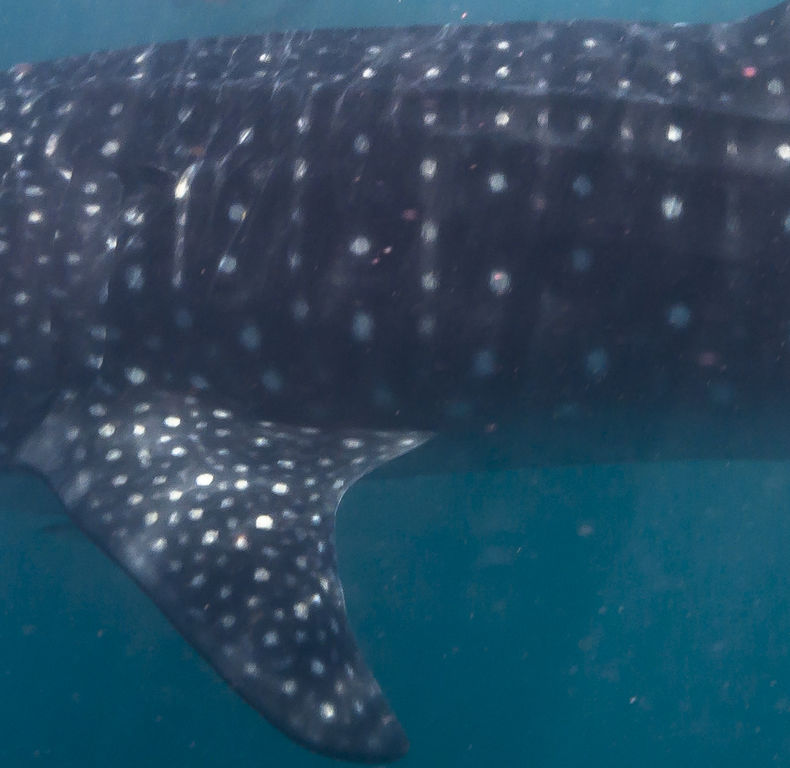 8b276c47-cc95-400c-bf19-9cbf64fda291