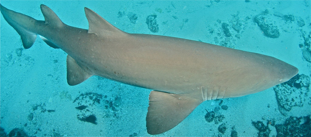 994263e4-2c71-44d6-ac4a-61b01029bc41