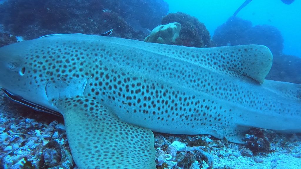 f66d8e35-a5ff-457d-8941-4932f5044c4e