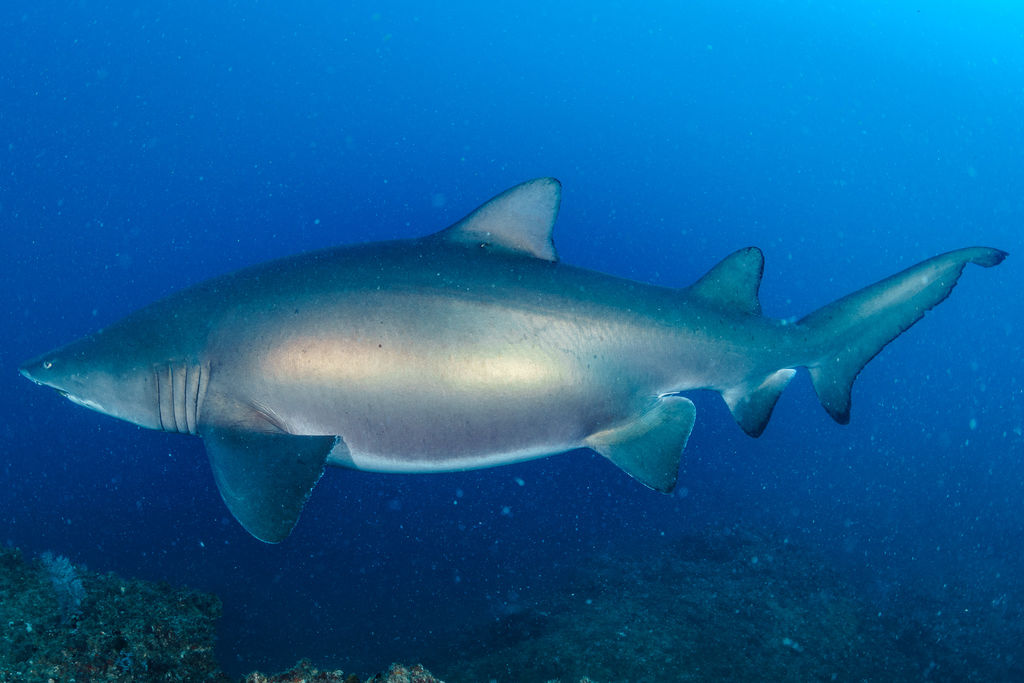 32e151c8-8be2-4cd3-b251-26c7054d09c4