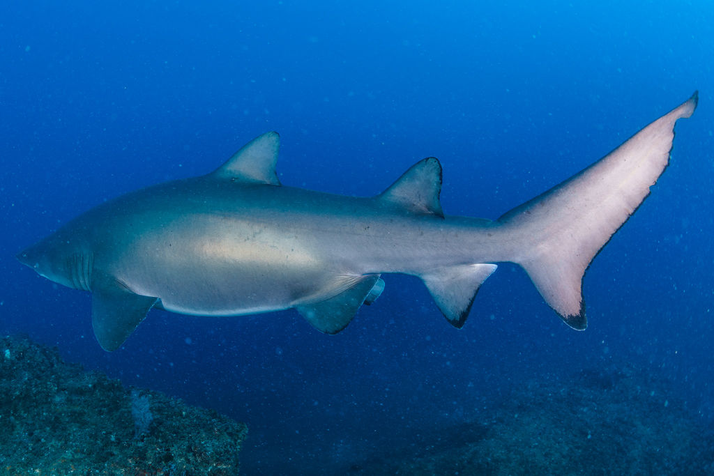 32e151c8-8be2-4cd3-b251-26c7054d09c4