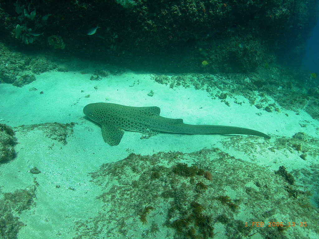 b7e14ee4-4f22-4d77-8138-28273b8a75d5