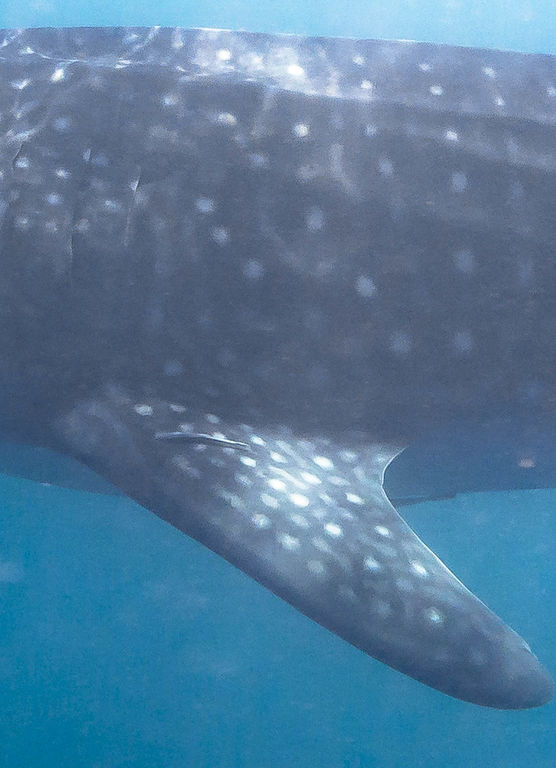 f07bcd53-eeee-4f78-ad7b-35d8e9dfe0f9