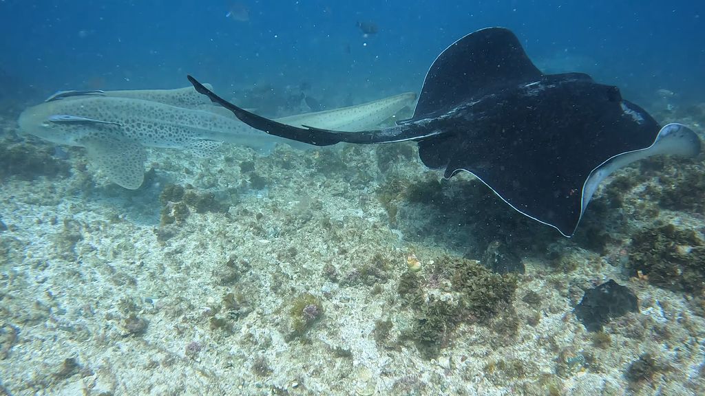 f721387a-6221-40e0-a448-70976ec5fd90