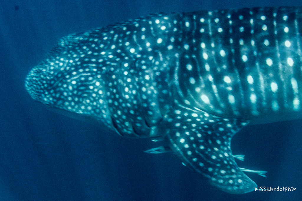 003374e7-8e15-4a60-ae26-e06298f7f0af