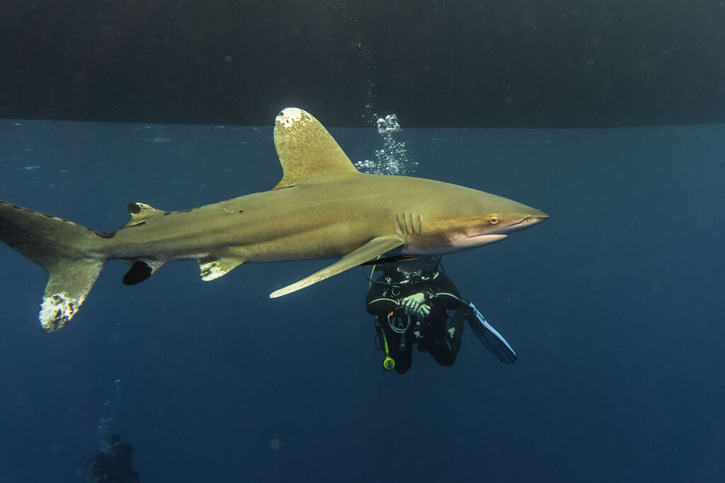 cef88367-be9c-4c2a-b6cb-f921af8877a5