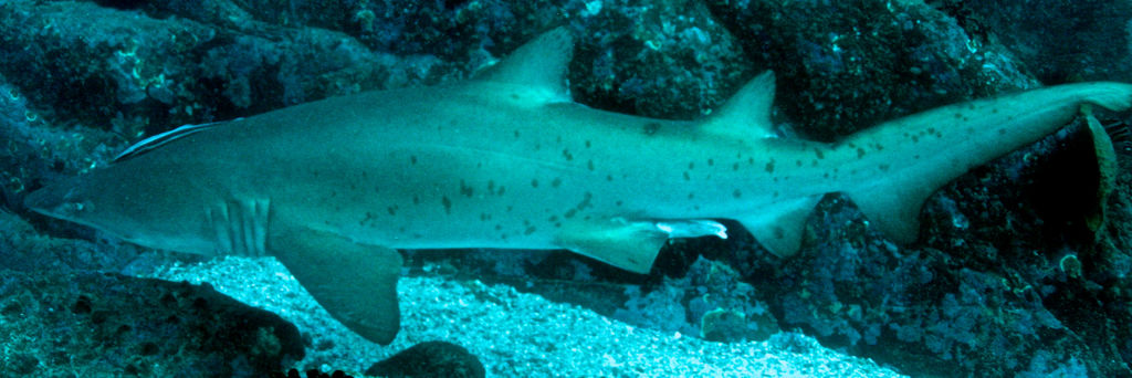 73bbb929-d2df-494b-bf0c-d96a8c95124c