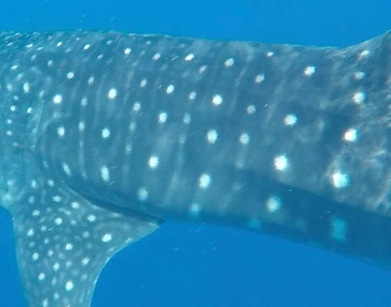 c26e7f43-0399-4eaa-a736-2c8312b6a4bc