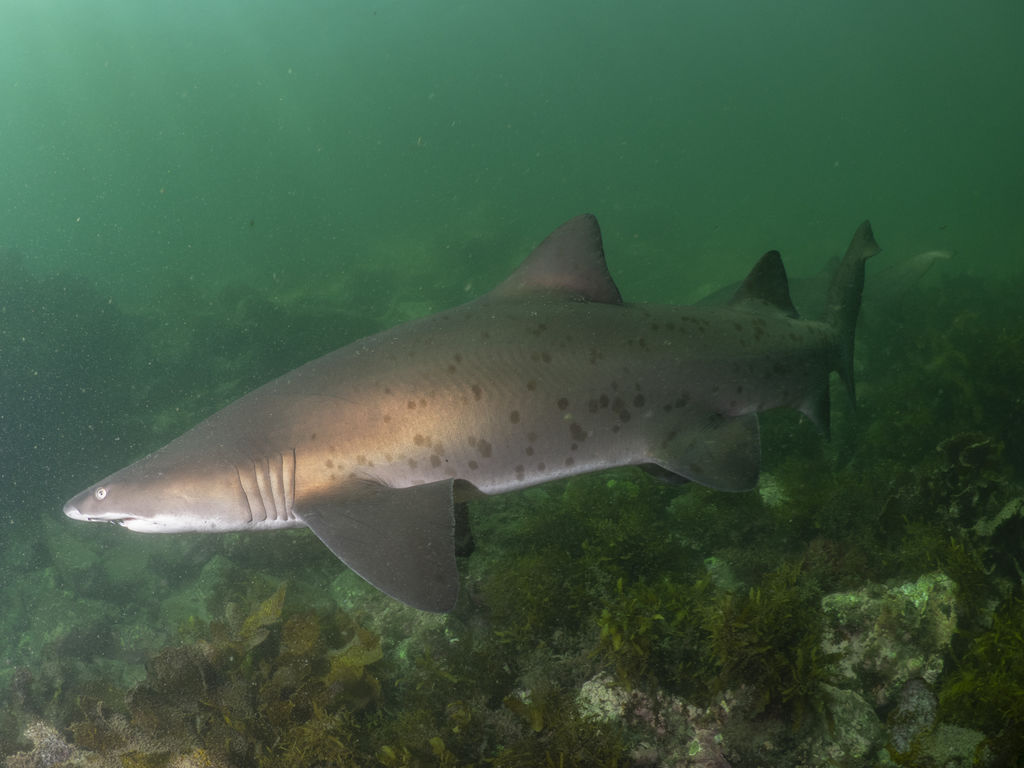 f358e760-d907-4401-8cc3-4c0756568745