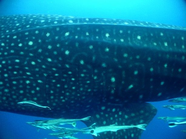 df18bf51-e14f-4d43-a1a8-602d77b06648