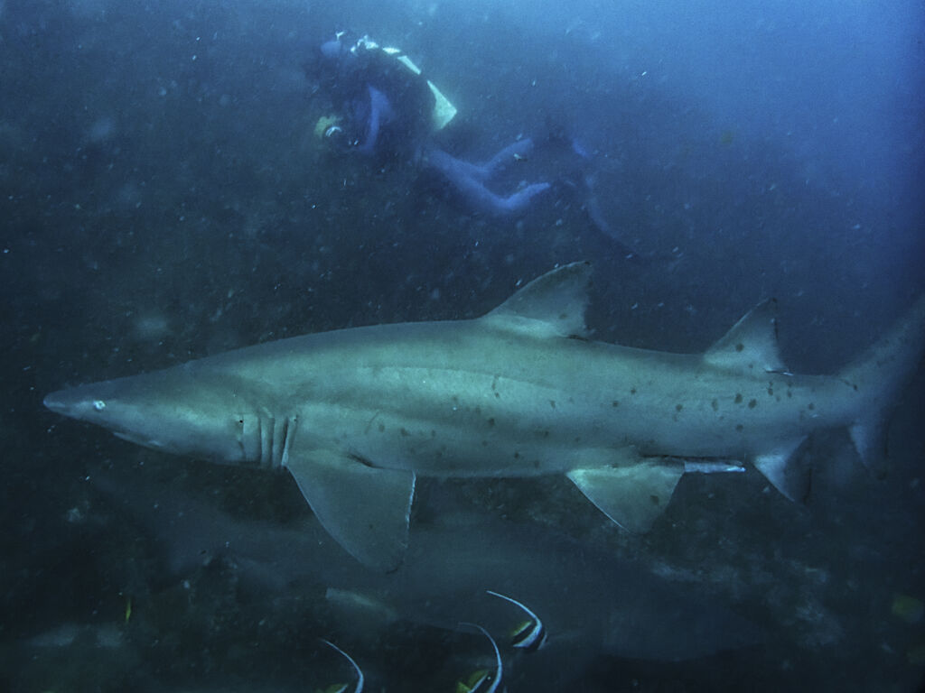 826e8897-5da7-4e91-8052-ad2d96e94836