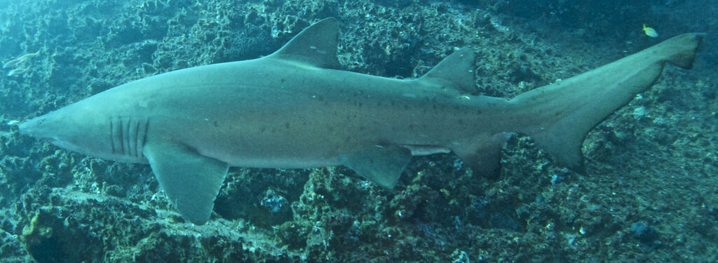 ae88a947-cb07-4e38-82a8-079224cc7173