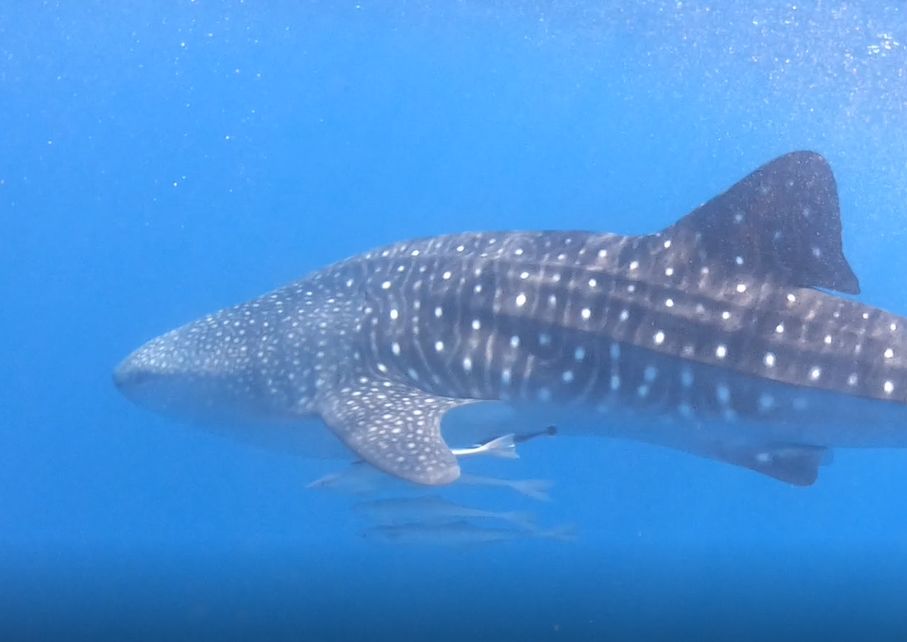 75b1228d-bf57-48e2-a94c-fa4f29f27226