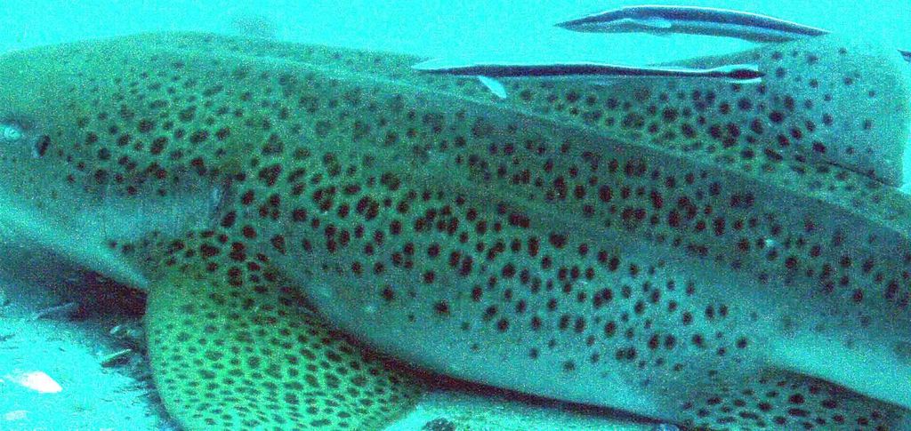 a9845080-b214-46dd-b6ab-6c2aa05b18b3