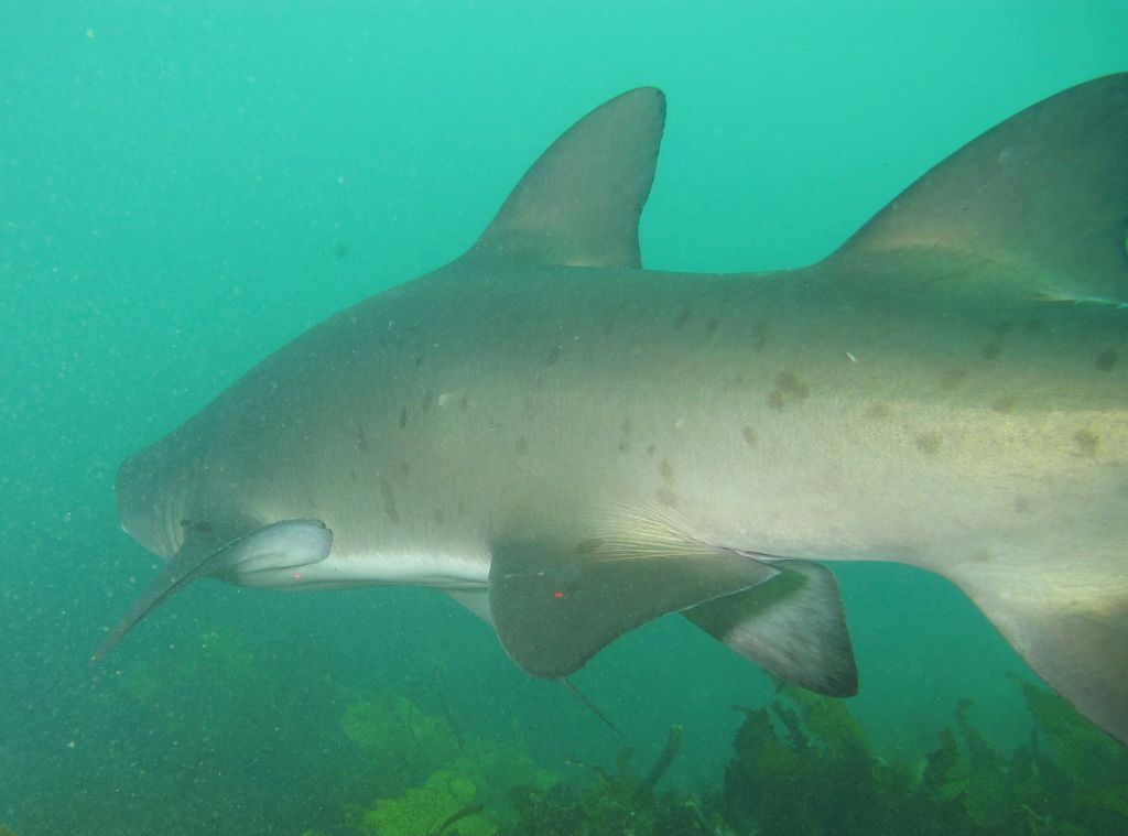 20c771ba-6ae4-41b0-a745-3d98d5e3be37