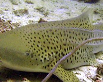 67922194-208b-4435-b452-20ca4b5aa167