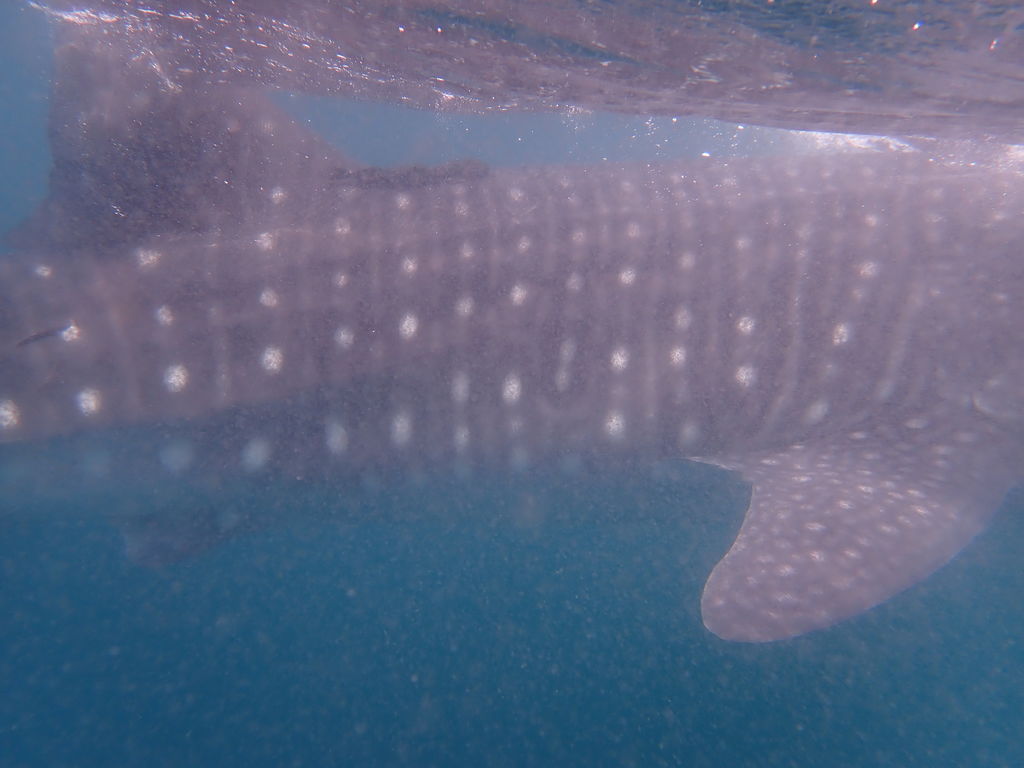 69446463-aa12-41ee-af9f-2af673e08c92