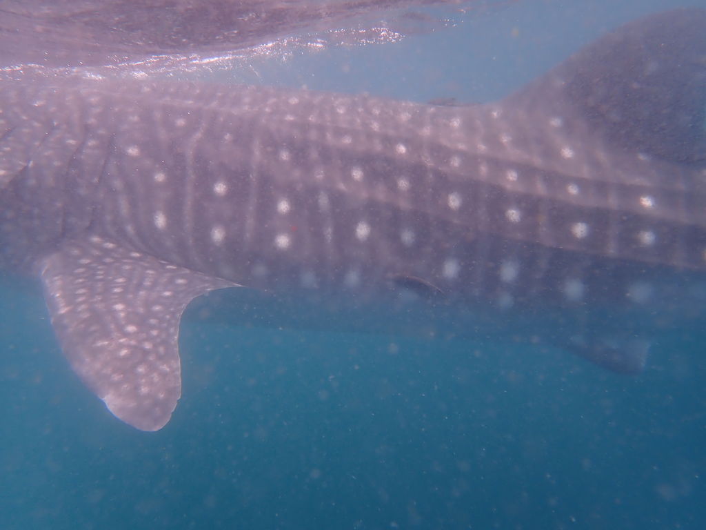 69446463-aa12-41ee-af9f-2af673e08c92