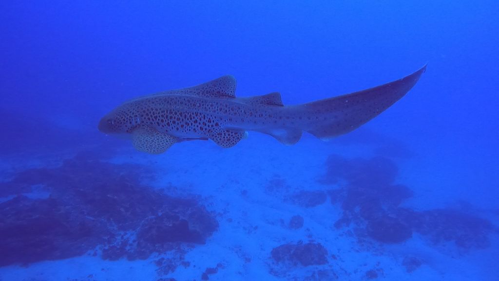 fc3334fe-ebaa-4db1-bf5b-467764eec63d