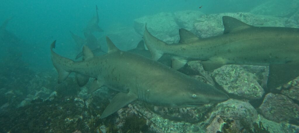 a1a6ae38-9629-4fec-b465-ba4bacb0ffc2