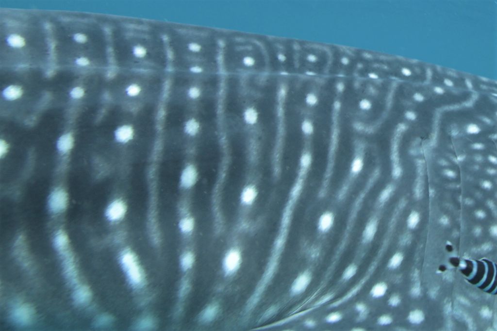 5fb0c540-abf3-479c-812f-b5a71fbca4c6